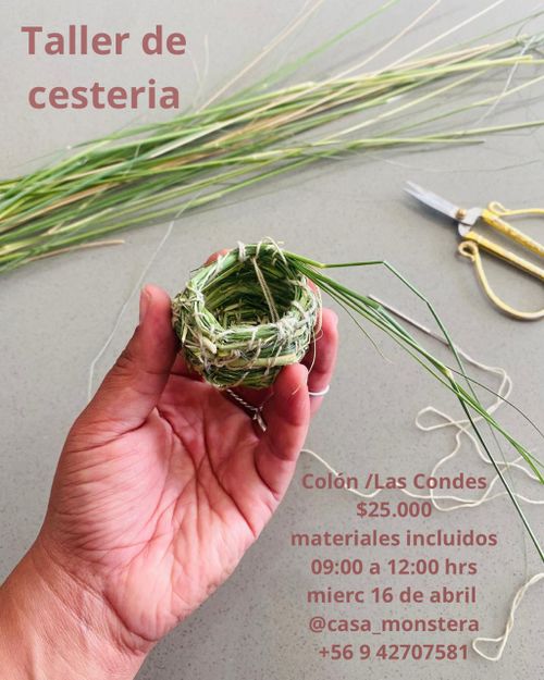 Taller de Cestería