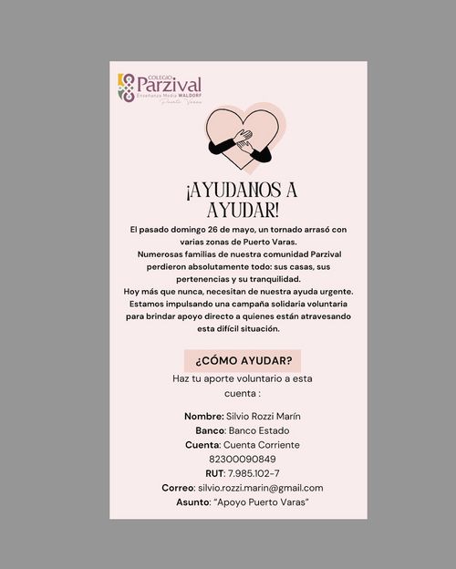 AYUDANOS A AYUDAR A PUERTO VARAS