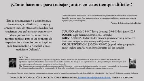¿Cómo hacemos para trabajar juntos en estos tiempos difíciles? - Taller de un día y medio en Limache