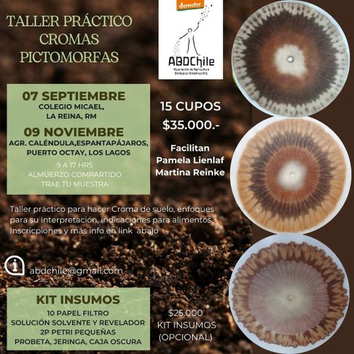 Taller práctico: Cromas Pictomorfas.