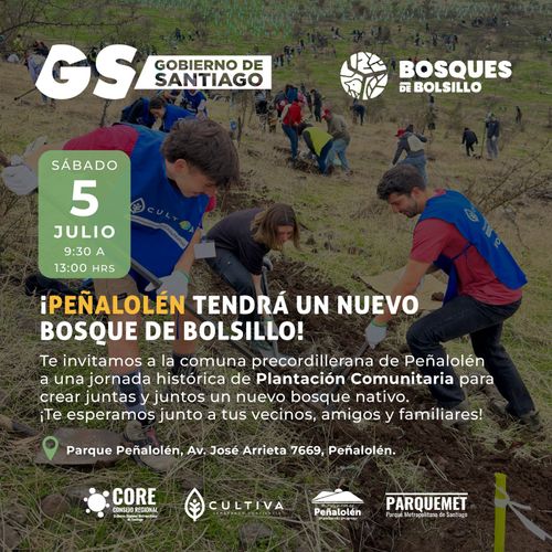 Bosques de Bolsillo: Plantación comunitaria en Peñalolén