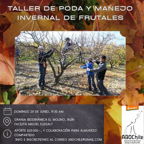 Taller de Poda y manejo invernal de Frutales