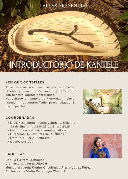 Taller introductorio de Kantele