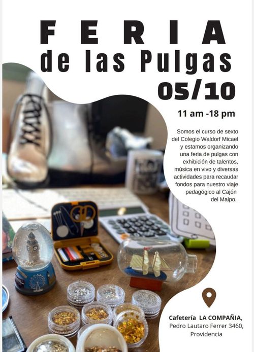 Feria de las Pulgas